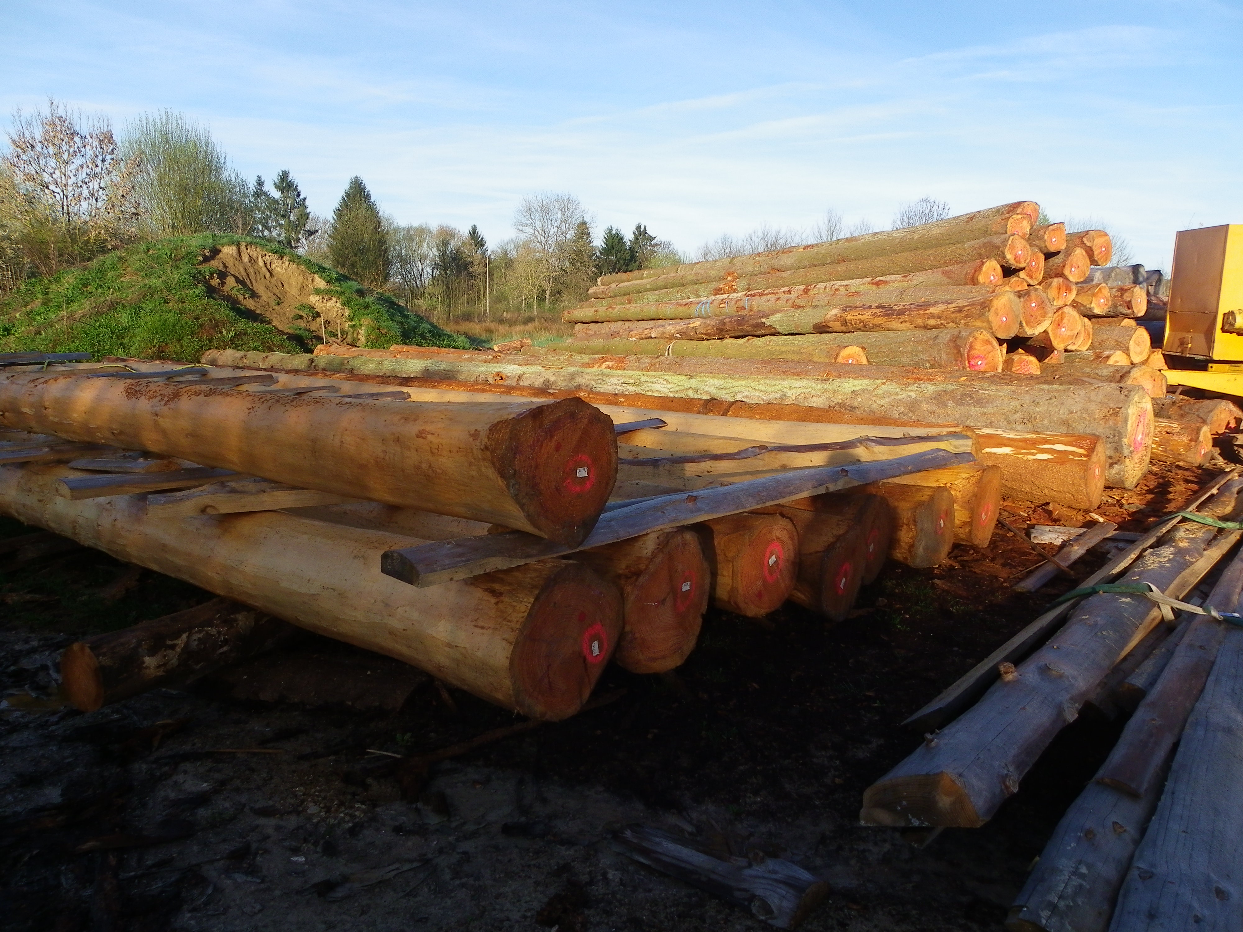 Écorçage et préparation 2